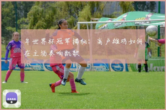 年世界杯冠军揭秘：高卢雄鸡如何在主场奏响凯歌