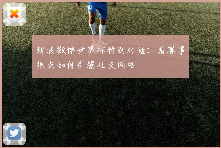 新浪微博世界杯特别对话：看赛事热点如何引爆社交网络