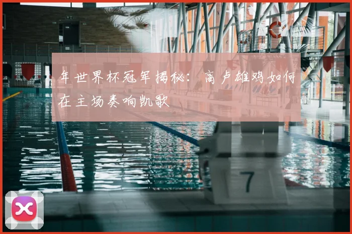 年世界杯冠军揭秘：高卢雄鸡如何在主场奏响凯歌